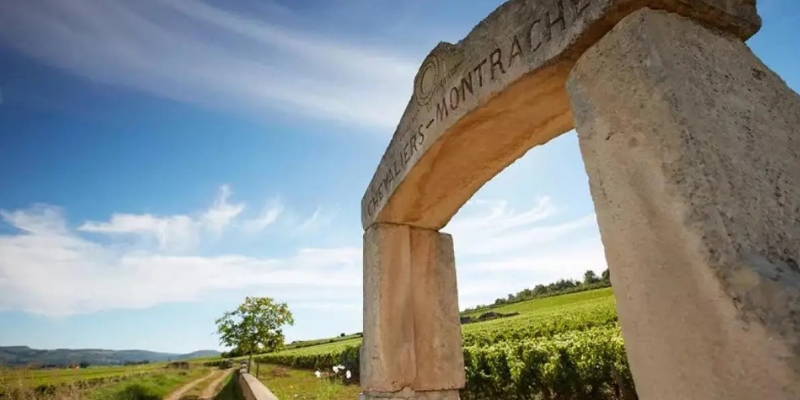 オリヴィエ・ルフレーヴ