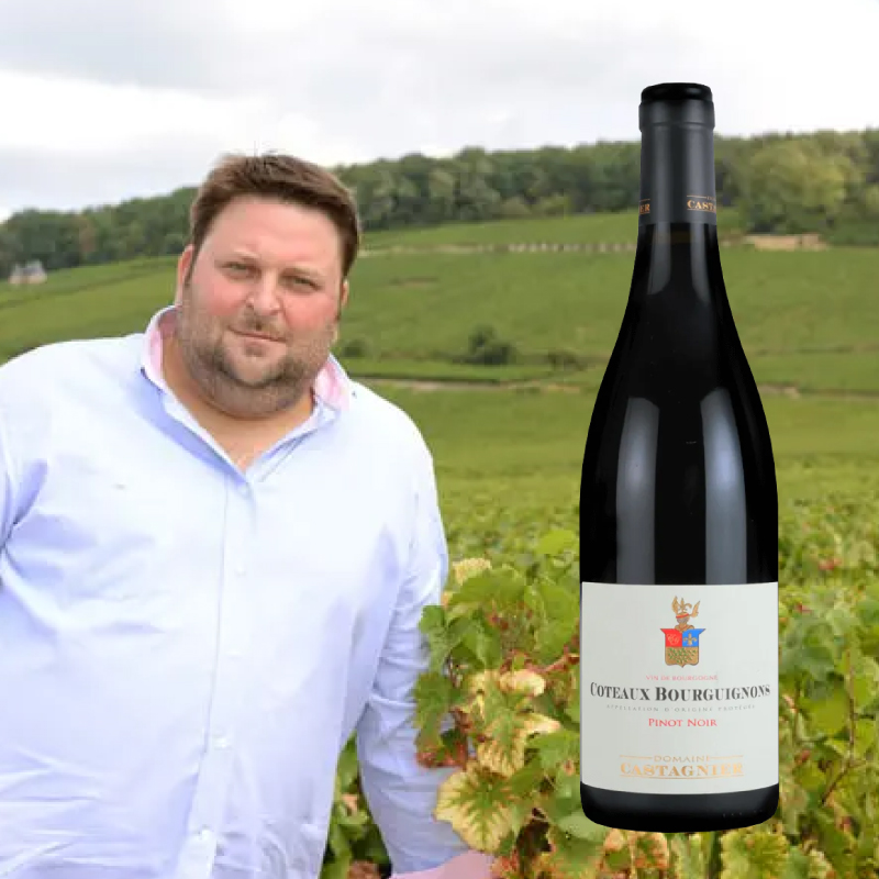 コトー・ブルギニヨン・ルージュ カスタニエ