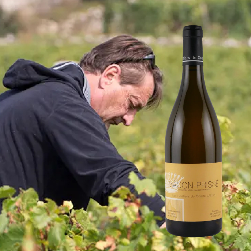 マコン･プリセ レ・ゼリティエ・デュ・コント・ラフォン