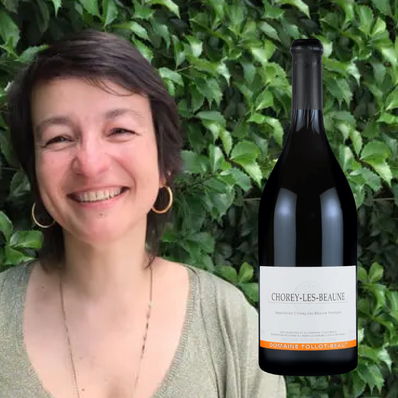 ショレイ・レ・ボーヌ トロ・ボー