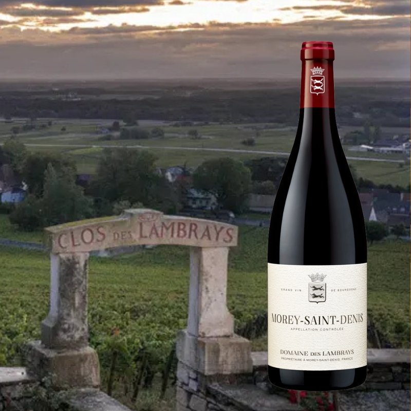 モレ・サン・ドニ ドメーヌ・デ・ランブレイ