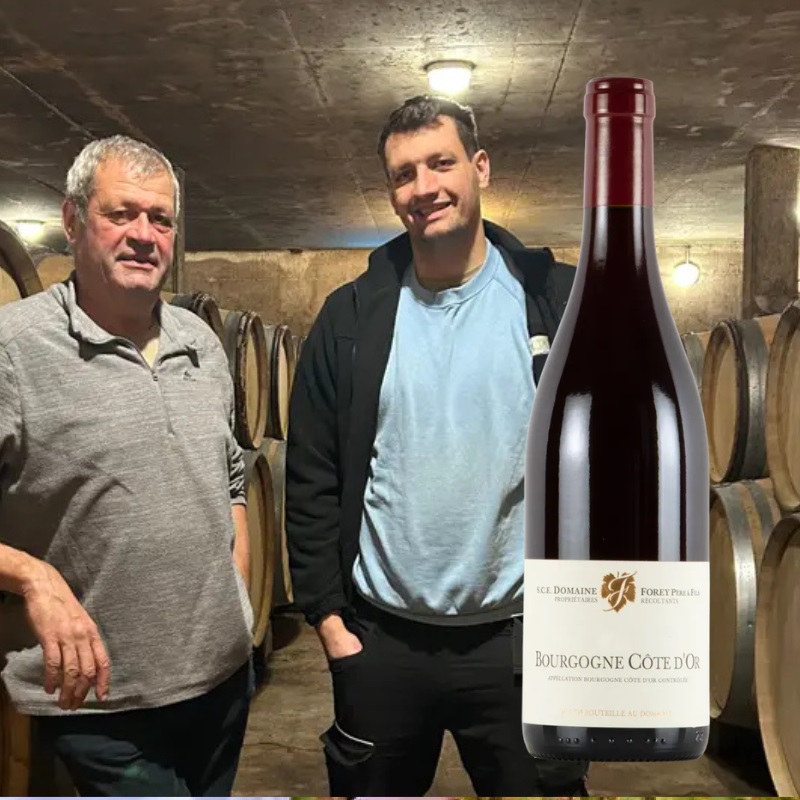 ブルゴーニュ・コート・ドール・ルージュ ドメーヌ・フォレ・ペール・エ・フィス