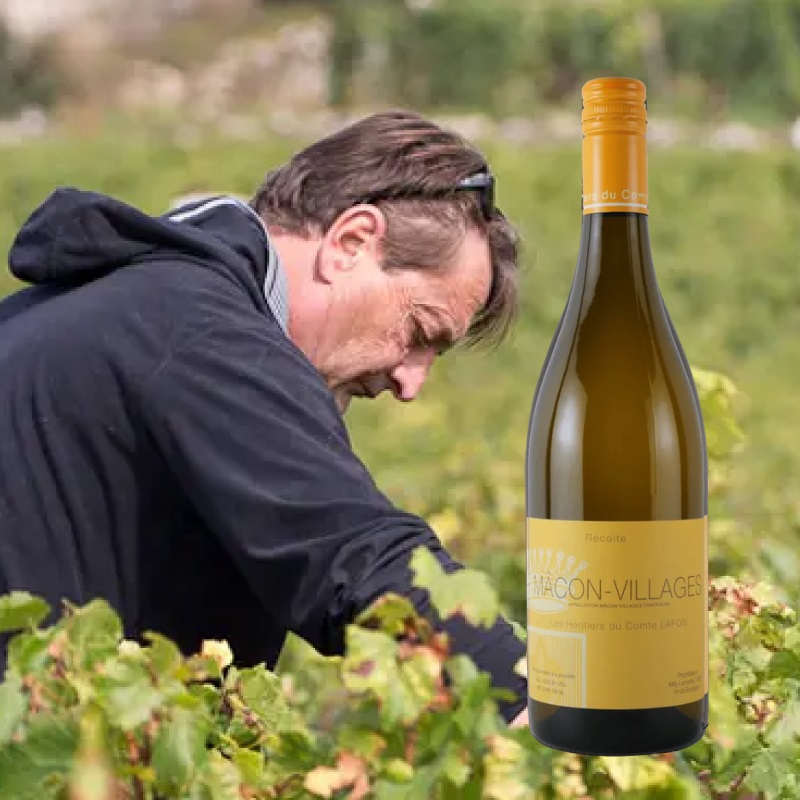 マコン・ヴィラージュ レ・ゼリティエ・デュ・コント・ラフォン