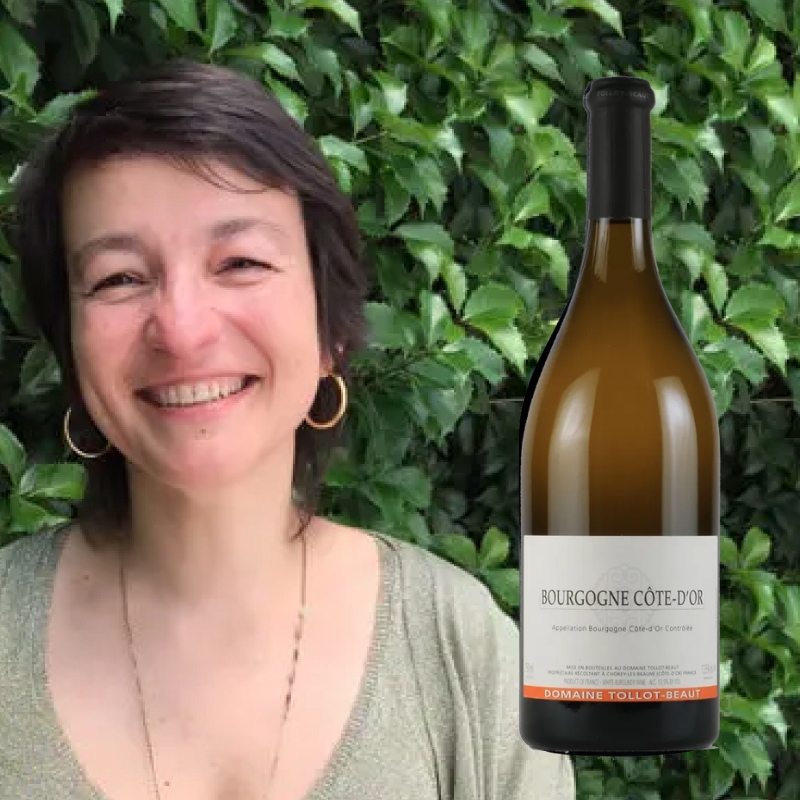 ブルゴーニュ コート・ドール ブラン トロ・ボー