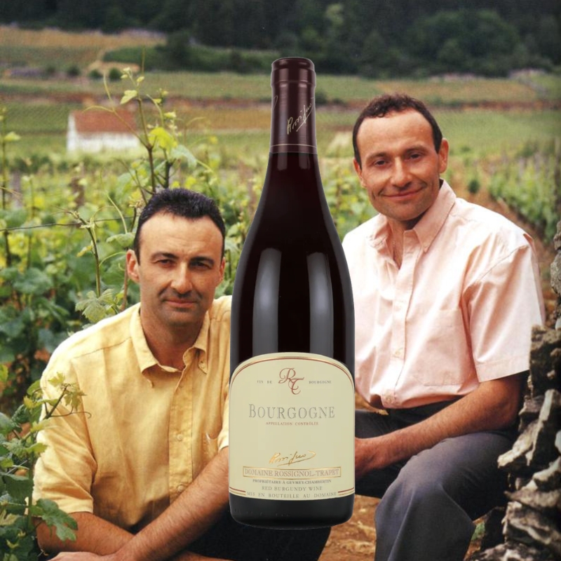 ブルゴーニュ・ルージュ ロシニョール・トラペ