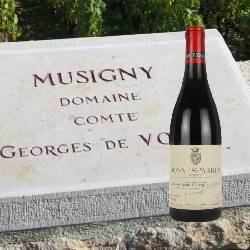 ボンヌ・マール グラン・クリュ コント・ジョルジュ・ド・ヴォギュエ