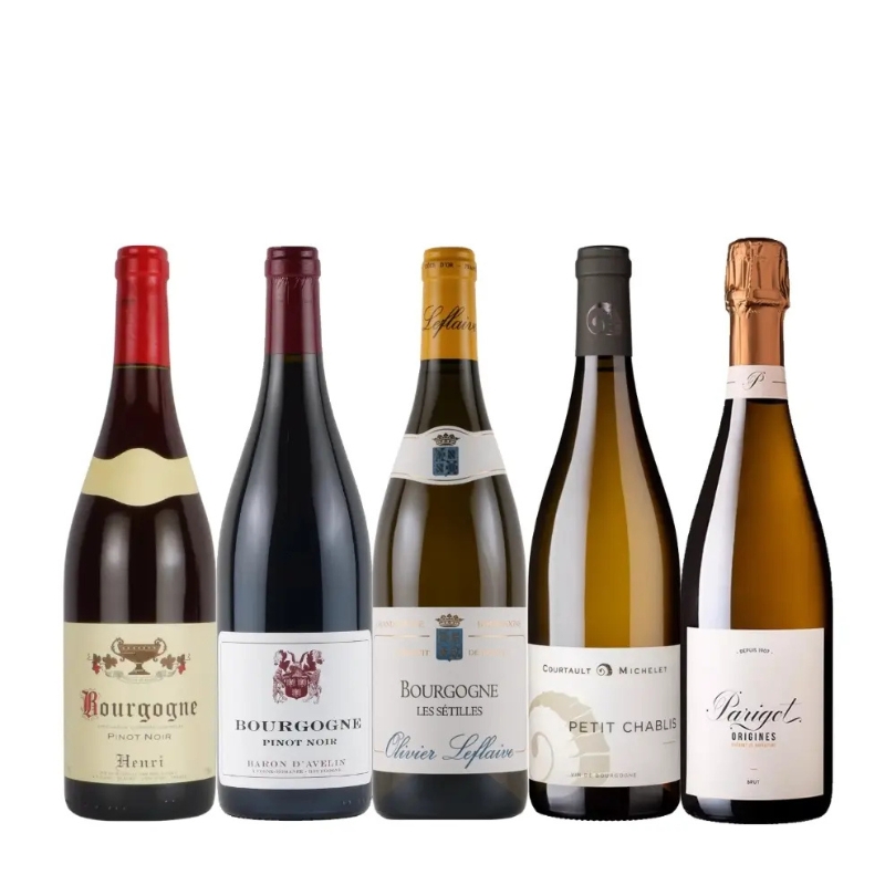 ブルゴーニュワイン飲み比べ5本セット