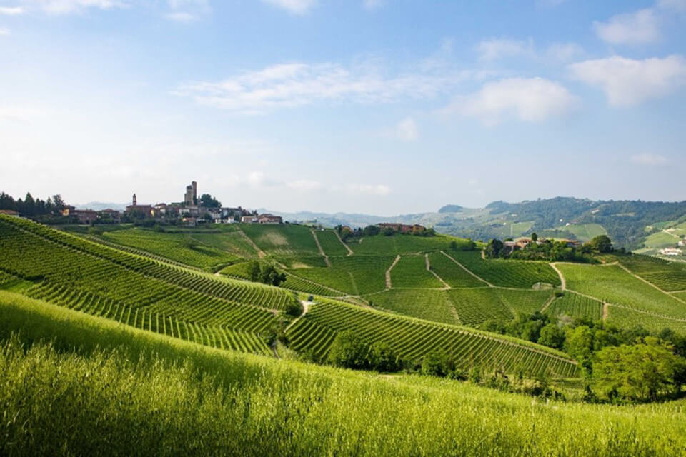 2024年 ランゲ・ヴィンテージレポート