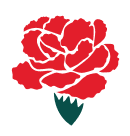 カーネーション